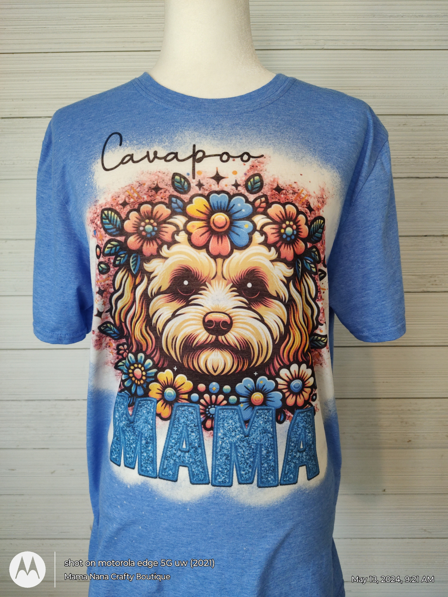 Cavapoo Mama Bleached