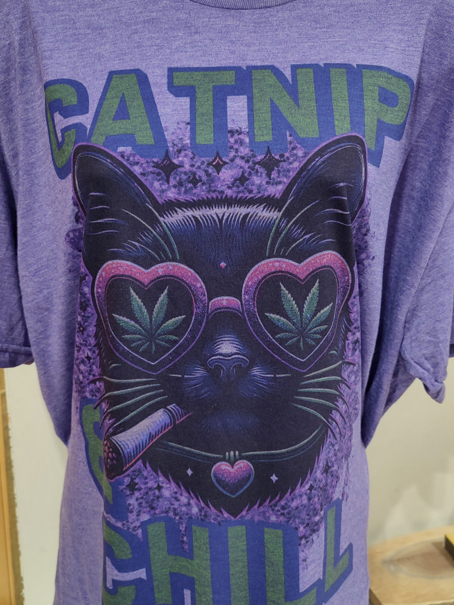 Catnip and Chill T-Shirt